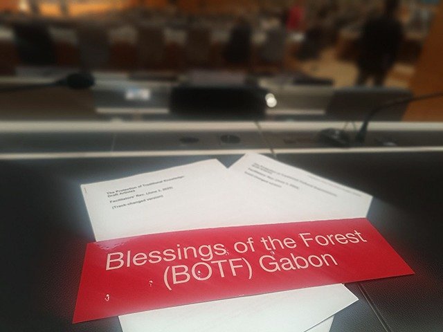 Iboga : le Gabon défend ses racines à Genève et Denver face aux menaces d’appropriation
